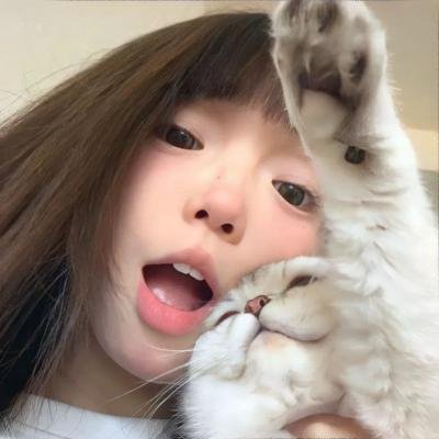 虎！虎！虎！